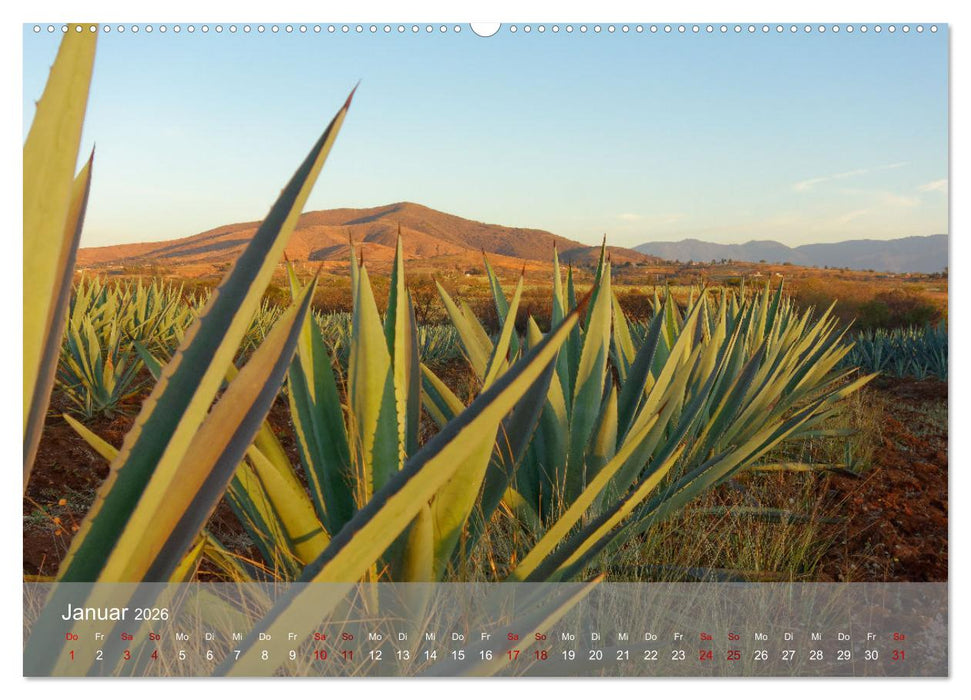 Bekanntes und Unbekanntes MEXIKO (CALVENDO Premium Wandkalender 2026)