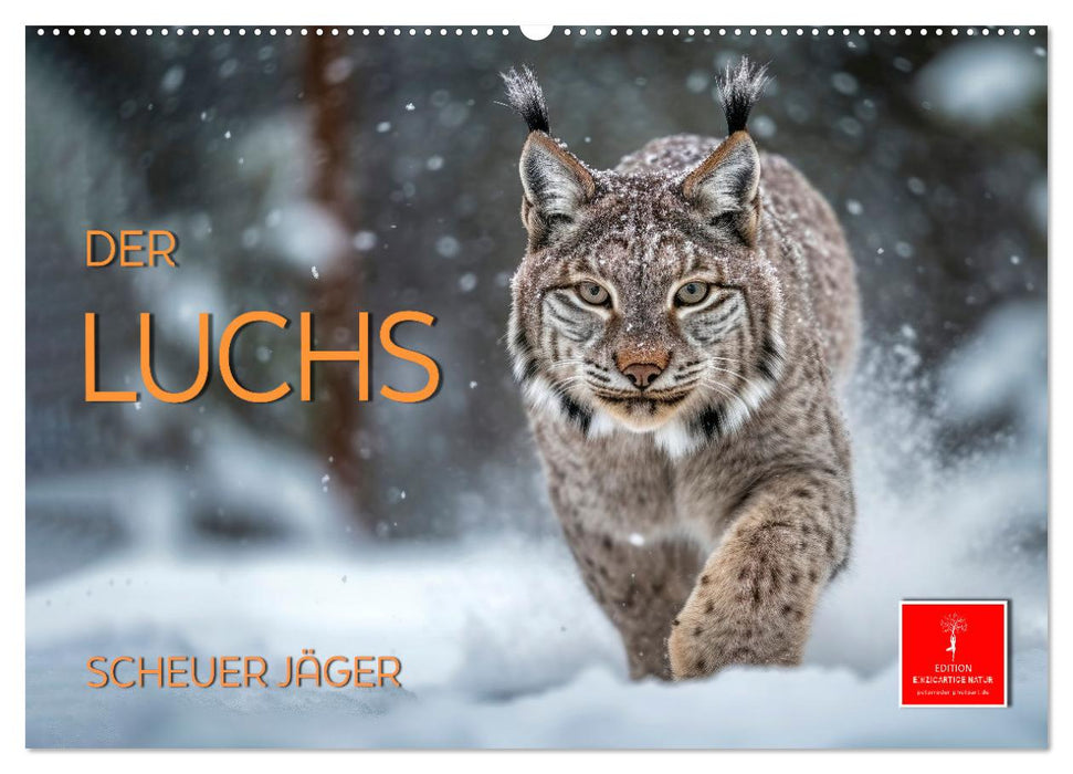 Der Luchs - scheuer Jäger (CALVENDO Wandkalender 2026)