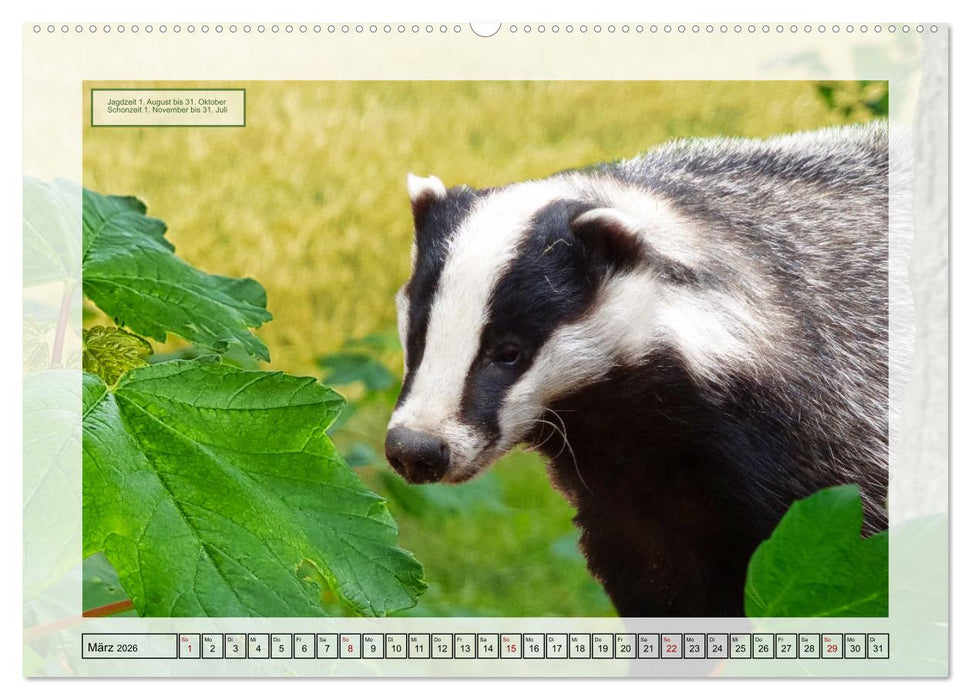 Deutsches Jagdwild - Waidmannsheil (CALVENDO Premium Wandkalender 2026)