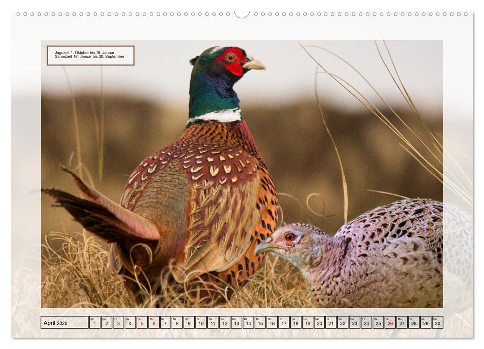 Deutsches Jagdwild - Waidmannsheil (CALVENDO Premium Wandkalender 2026)