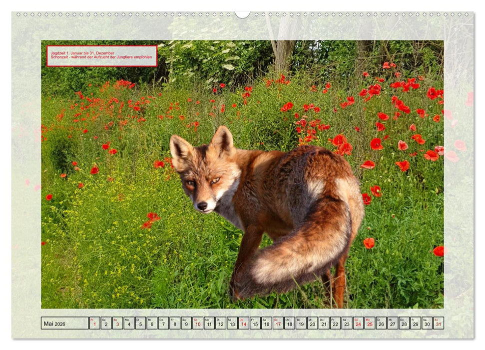 Deutsches Jagdwild - Waidmannsheil (CALVENDO Premium Wandkalender 2026)