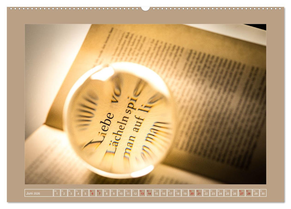 Bücher phantasievoll und sachlich (CALVENDO Wandkalender 2026)