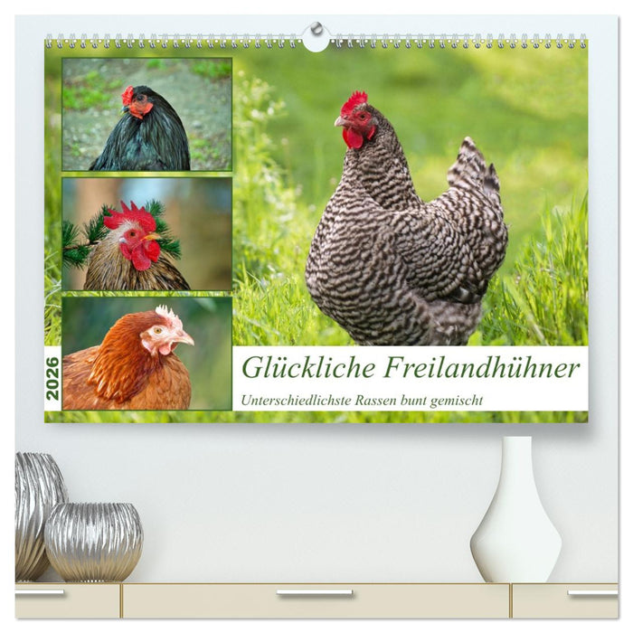 Glückliche Freilandhühner (CALVENDO Premium Wandkalender 2026)
