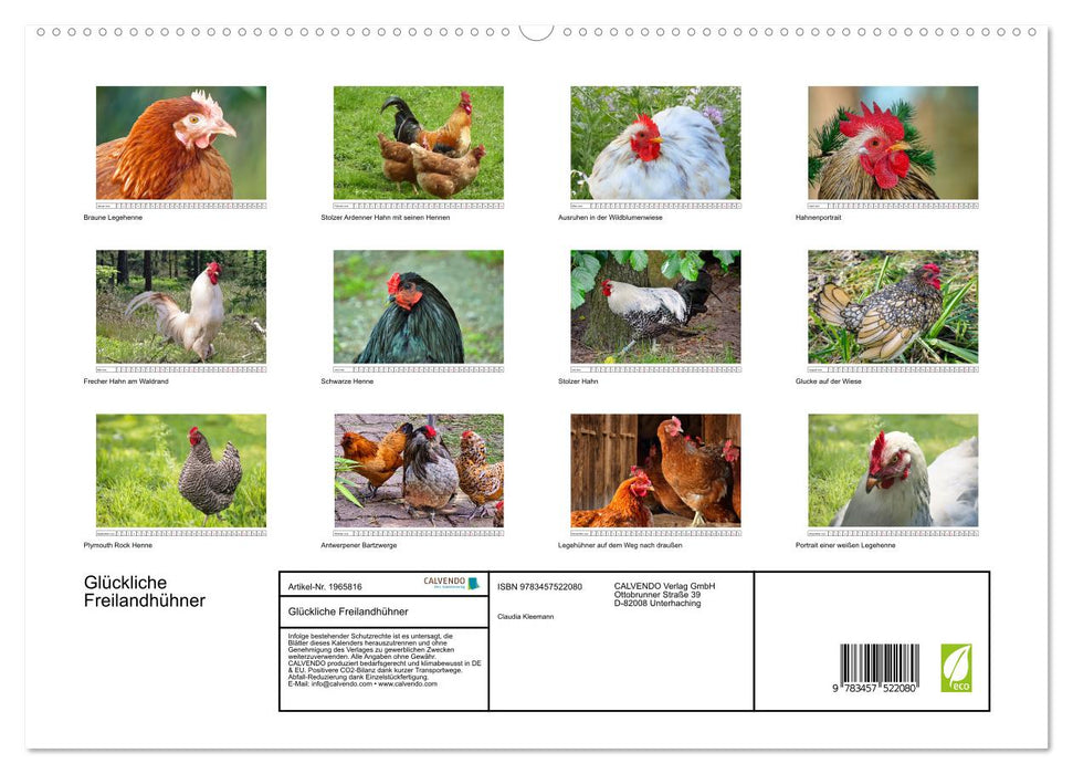 Glückliche Freilandhühner (CALVENDO Premium Wandkalender 2026)