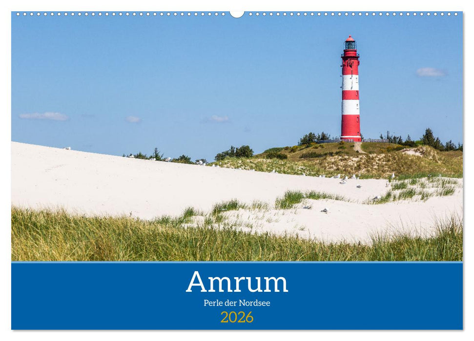 Amrum - Perle der Nordsee (CALVENDO Wandkalender 2026)