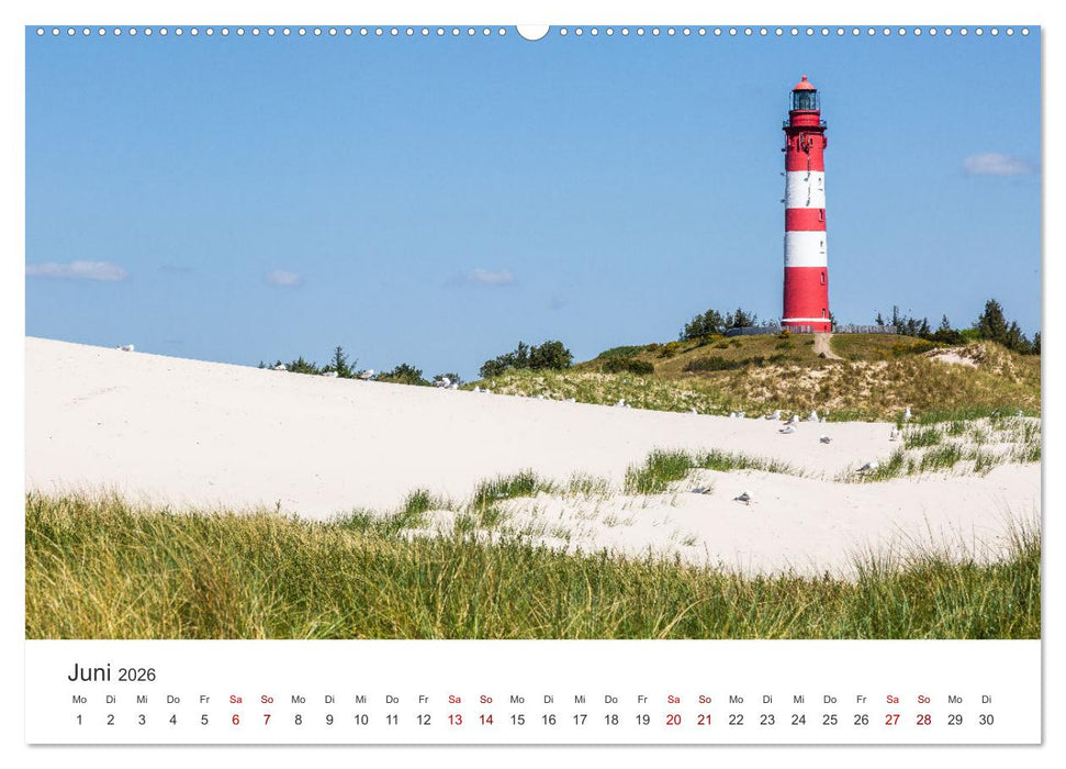 Amrum - Perle der Nordsee (CALVENDO Wandkalender 2026)
