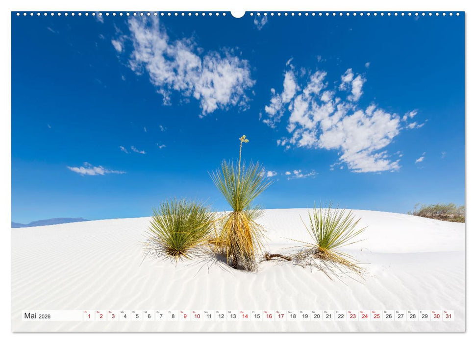 FASZINATION USA Geniale Landschaften (CALVENDO Premium Wandkalender 2026)