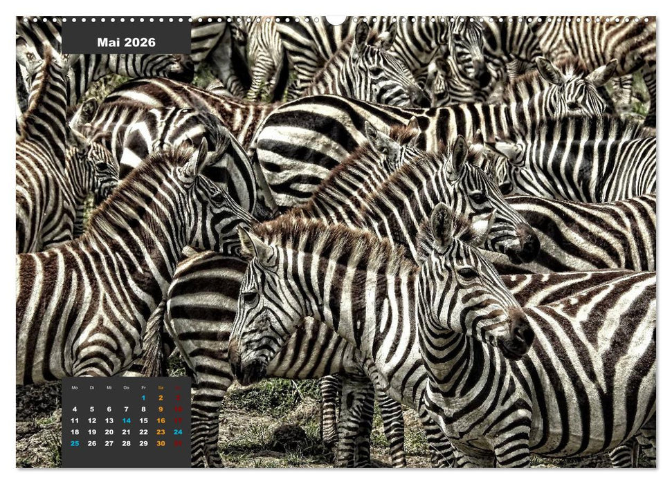 Safari njema - Safari Impressionen Kenia (CALVENDO Wandkalender 2026)