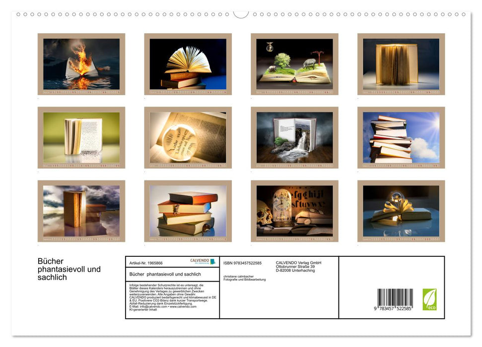 Bücher phantasievoll und sachlich (CALVENDO Premium Wandkalender 2026)