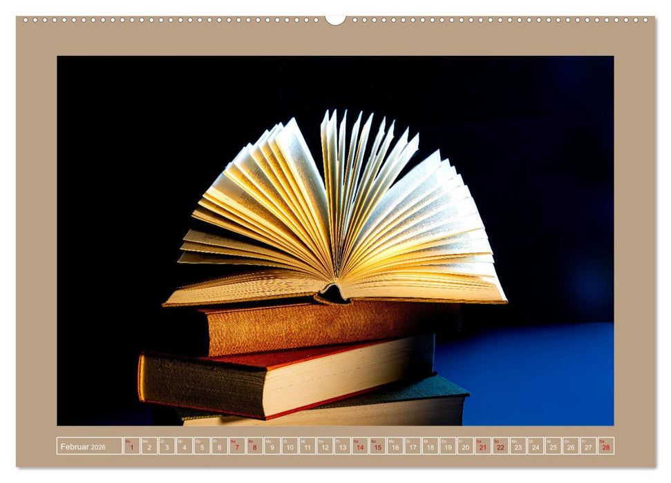 Bücher phantasievoll und sachlich (CALVENDO Premium Wandkalender 2026)