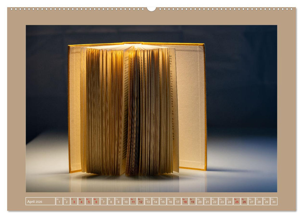 Bücher phantasievoll und sachlich (CALVENDO Premium Wandkalender 2026)
