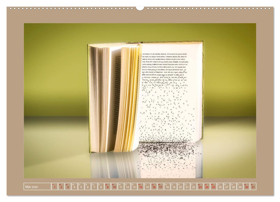 Bücher phantasievoll und sachlich (CALVENDO Premium Wandkalender 2026)