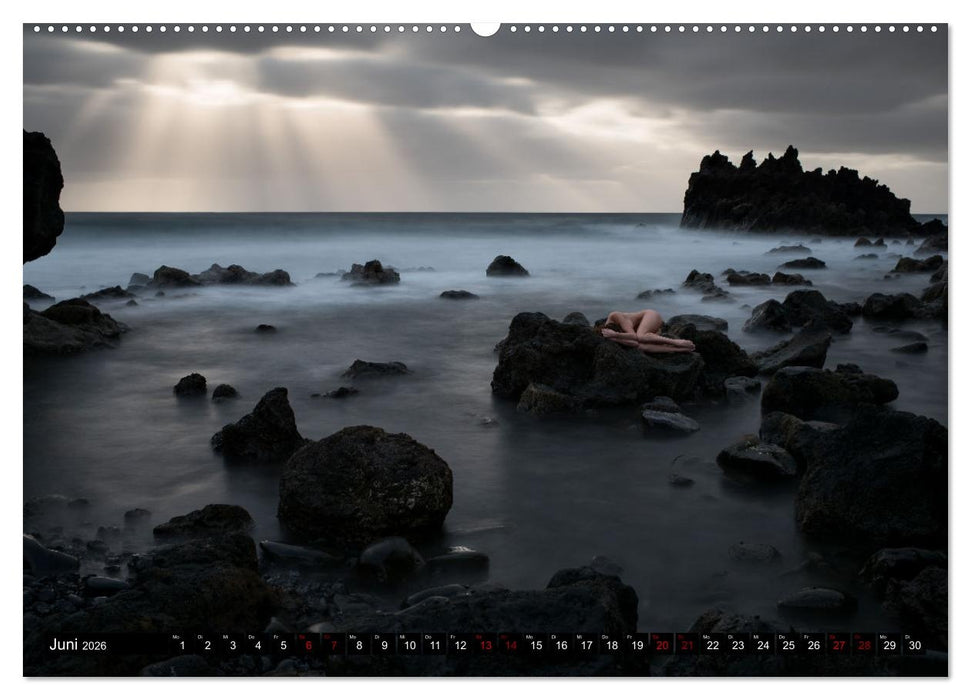 Passion für die Aktfotografie (CALVENDO Wandkalender 2026)