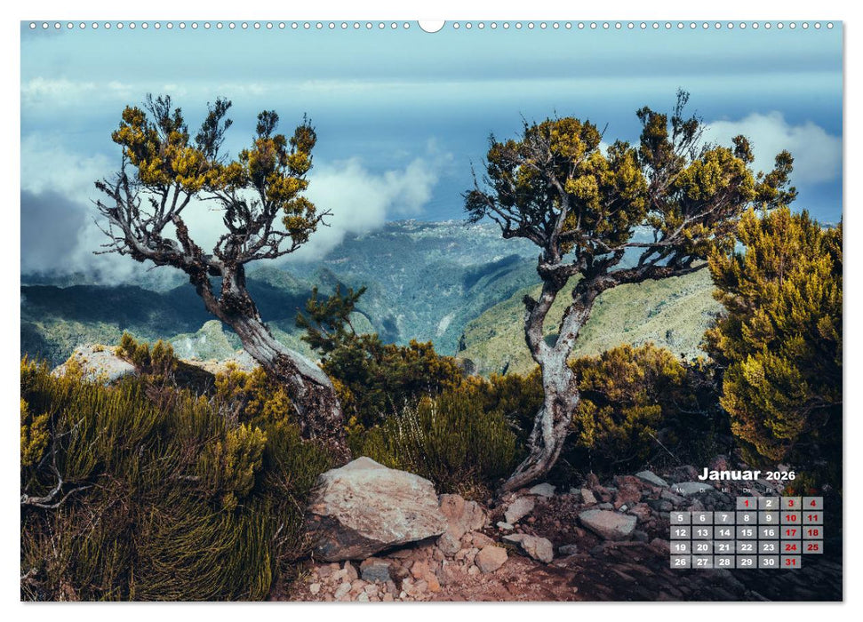 Trauminsel Madeira (CALVENDO Wandkalender 2026)