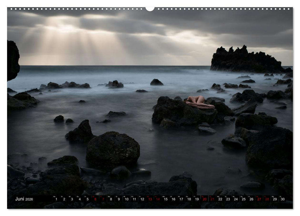 Passion für die Aktfotografie (CALVENDO Premium Wandkalender 2026)