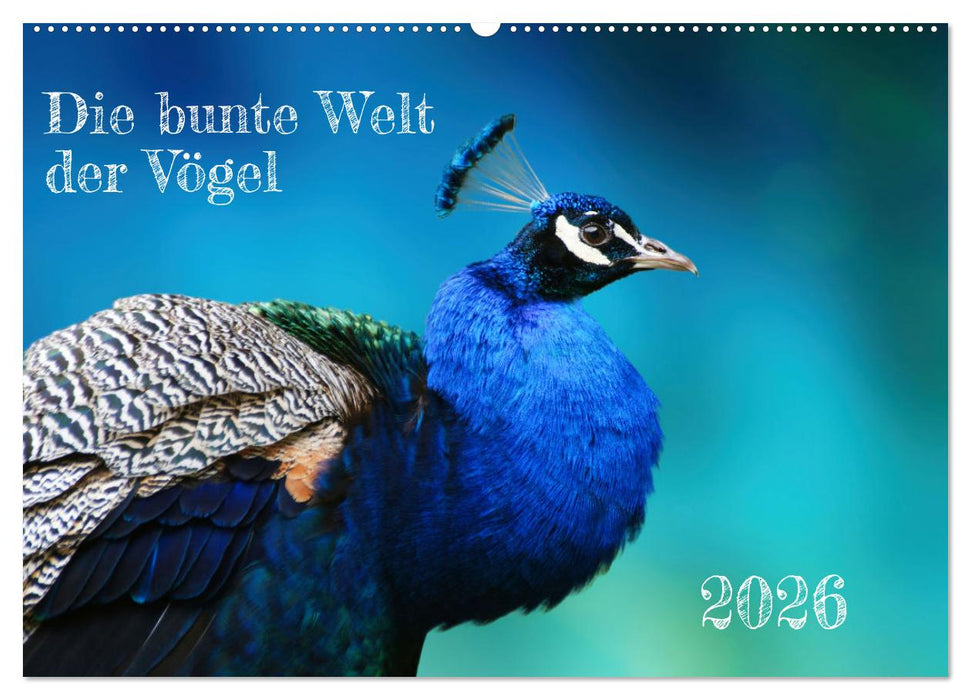 Die bunte Welt der Vögel (CALVENDO Wandkalender 2026)