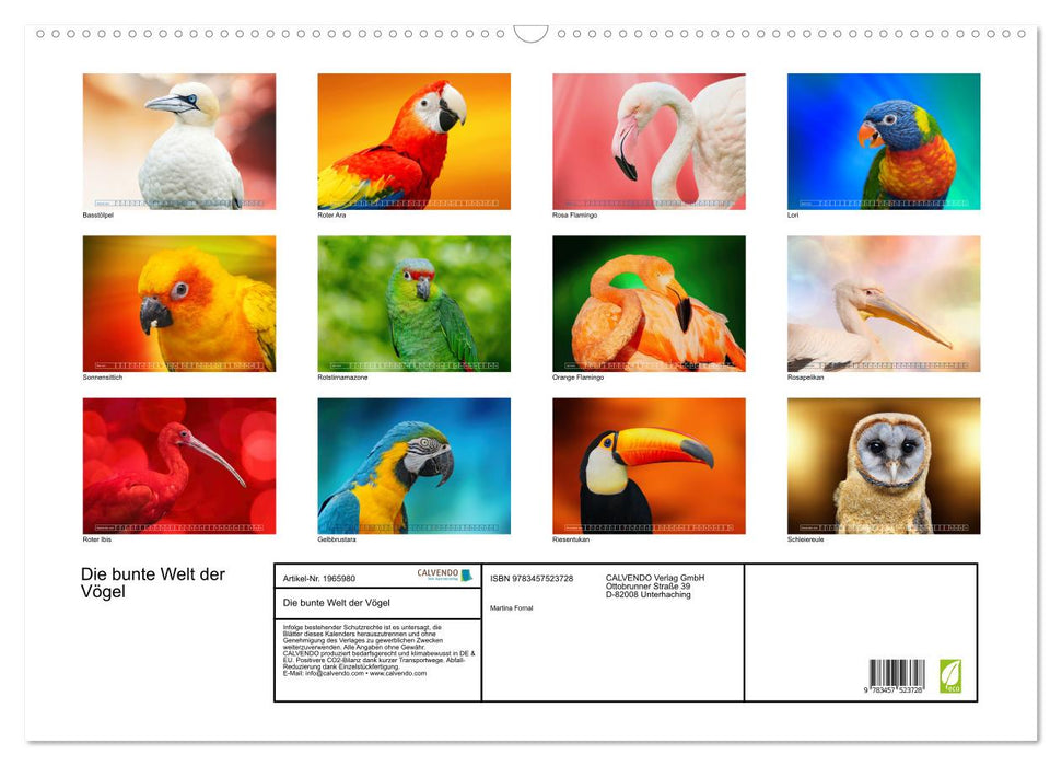 Die bunte Welt der Vögel (CALVENDO Wandkalender 2026)