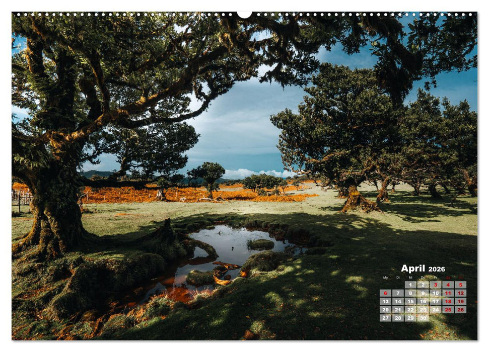 Trauminsel Madeira (CALVENDO Premium Wandkalender 2026)