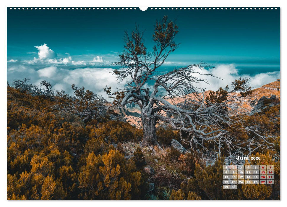 Trauminsel Madeira (CALVENDO Premium Wandkalender 2026)