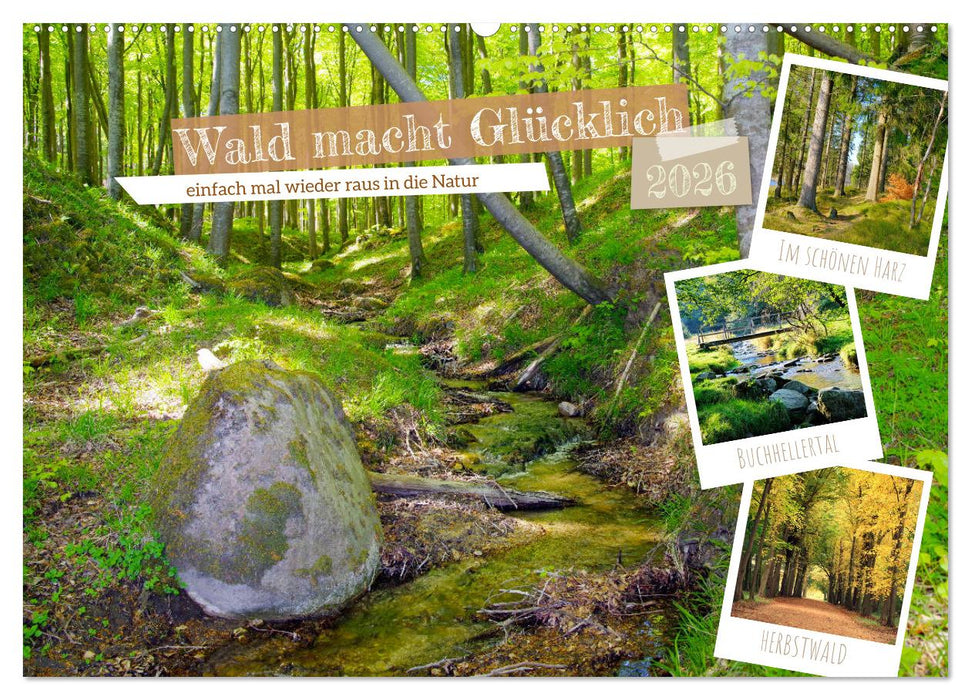 Wald macht glücklich (CALVENDO Wandkalender 2026)