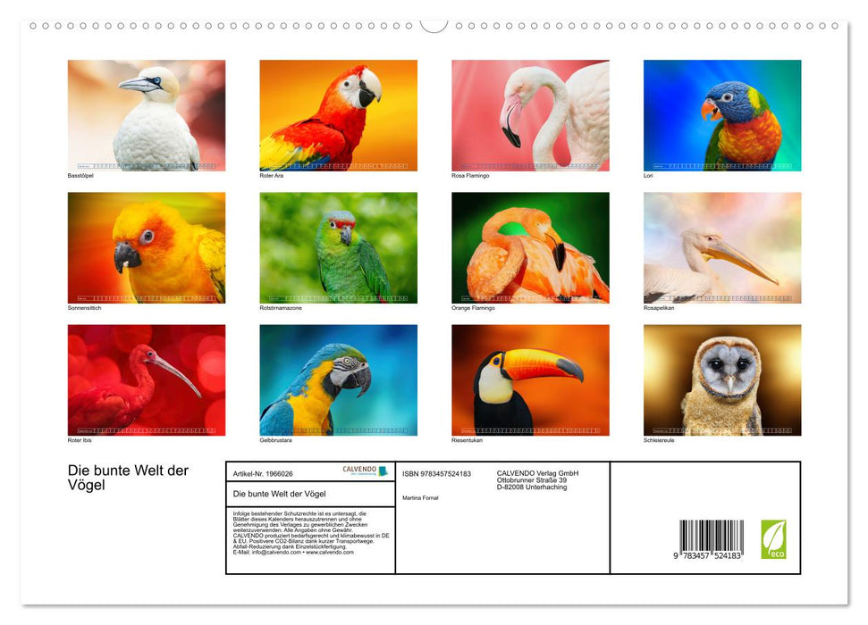 Die bunte Welt der Vögel (CALVENDO Premium Wandkalender 2026)