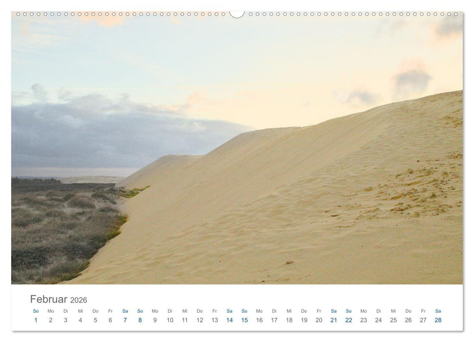 Wanderdüne Rubjerg Knude - ein Wahrzeichen im Land des Lichts (CALVENDO Wandkalender 2026)