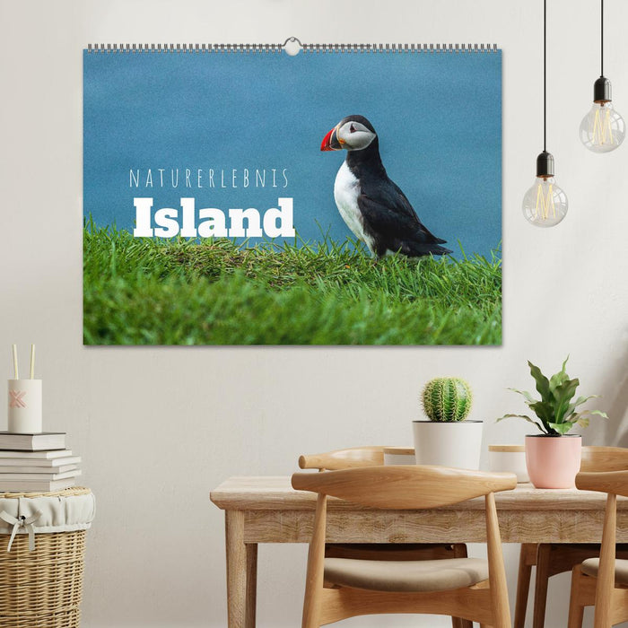 Naturerlebnis Island (CALVENDO Wandkalender 2026)