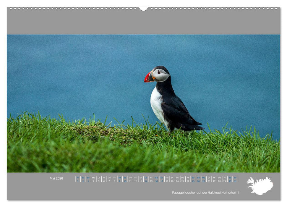 Naturerlebnis Island (CALVENDO Wandkalender 2026)