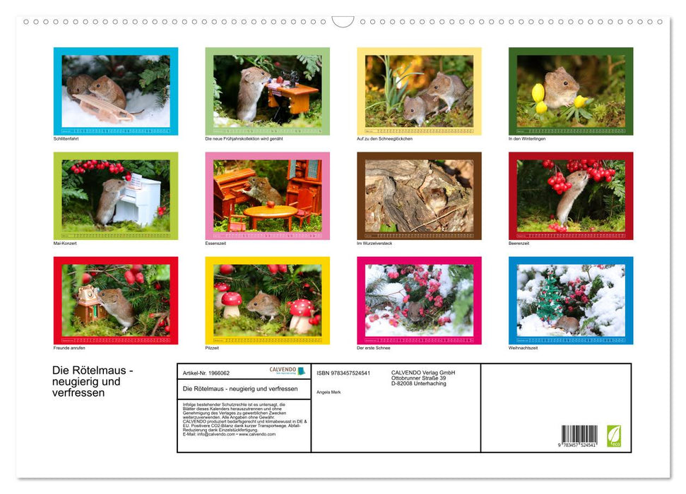 Die Rötelmaus - neugierig und verfressen (CALVENDO Wandkalender 2026)