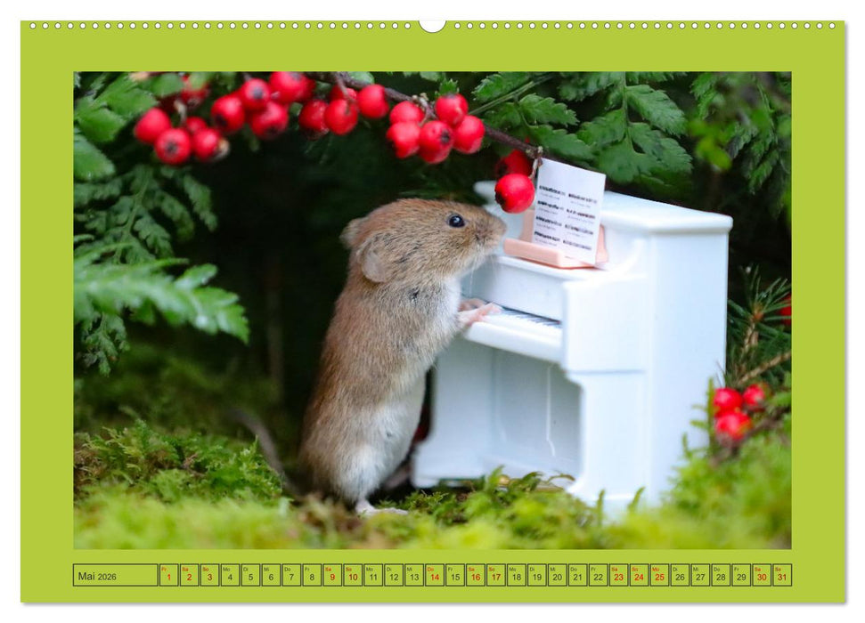 Die Rötelmaus - neugierig und verfressen (CALVENDO Wandkalender 2026)