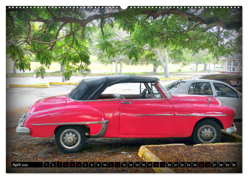 Best of Oldsmobile - Ein Cabrio Klassiker in Kuba (CALVENDO Wandkalender 2026)