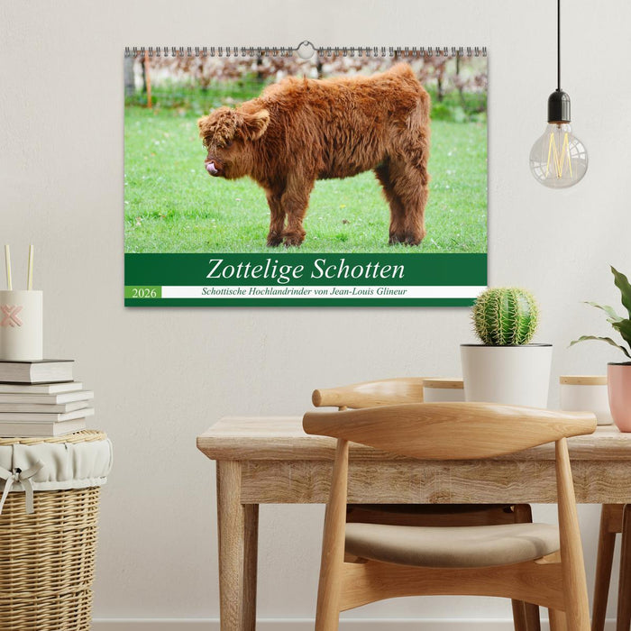 Zottelige Schotten (CALVENDO Wandkalender 2026)