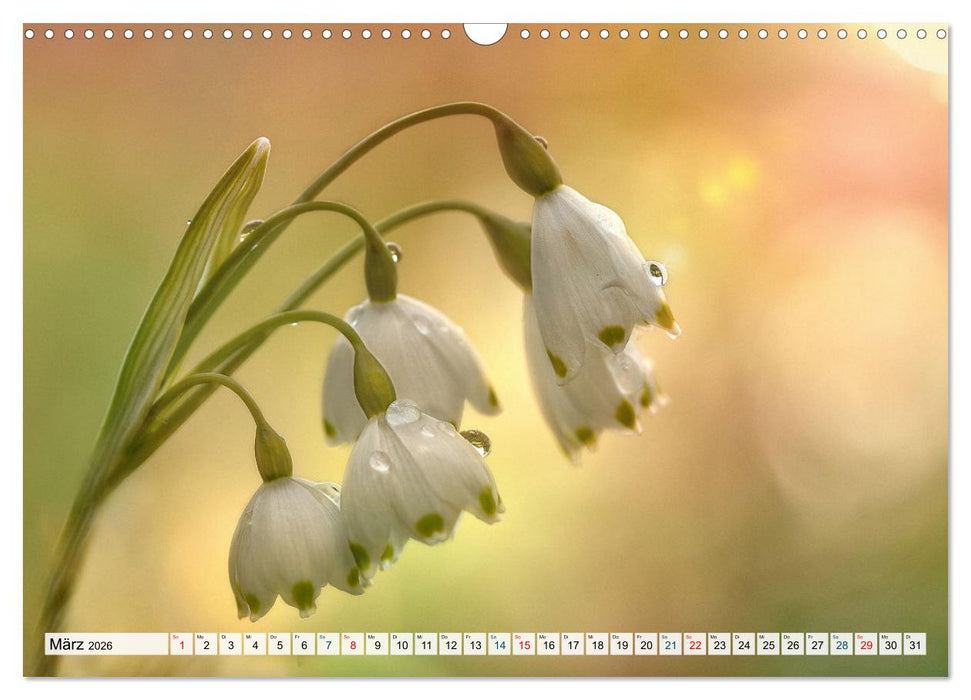 Rund um Göppingen (CALVENDO Wandkalender 2026)