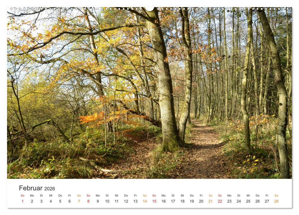 Wald macht glücklich (CALVENDO Premium Wandkalender 2026)