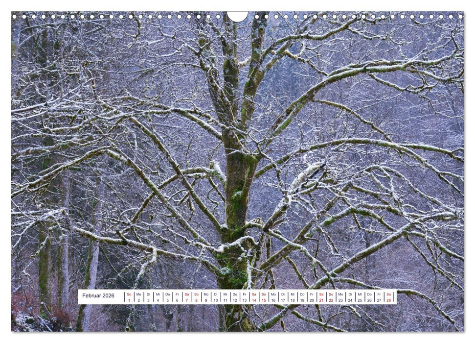 Vom Augenblick der Stille 2026 (CALVENDO Wandkalender 2026)