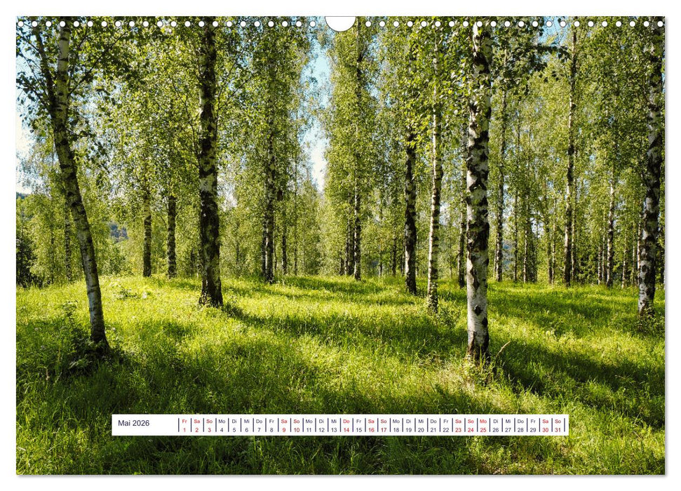 Vom Augenblick der Stille 2026 (CALVENDO Wandkalender 2026)