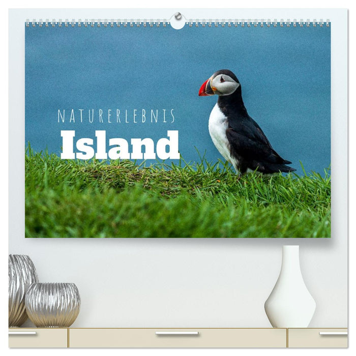 Naturerlebnis Island (CALVENDO Premium Wandkalender 2026)