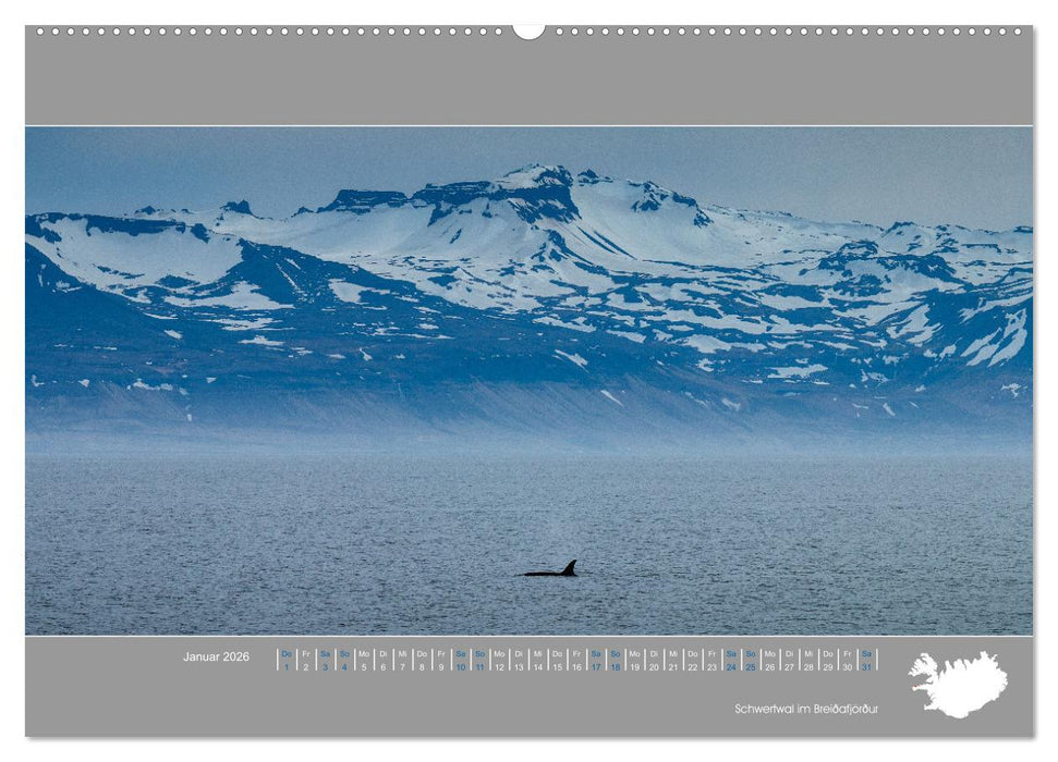 Naturerlebnis Island (CALVENDO Premium Wandkalender 2026)