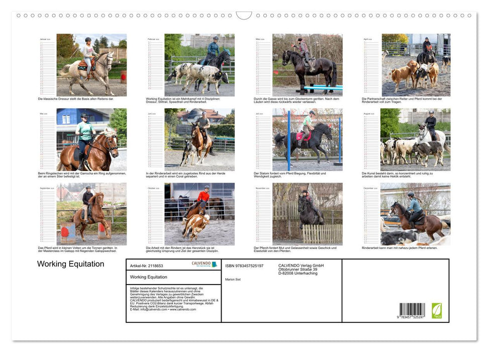 Working Equitation (CALVENDO Wandkalender 2026)