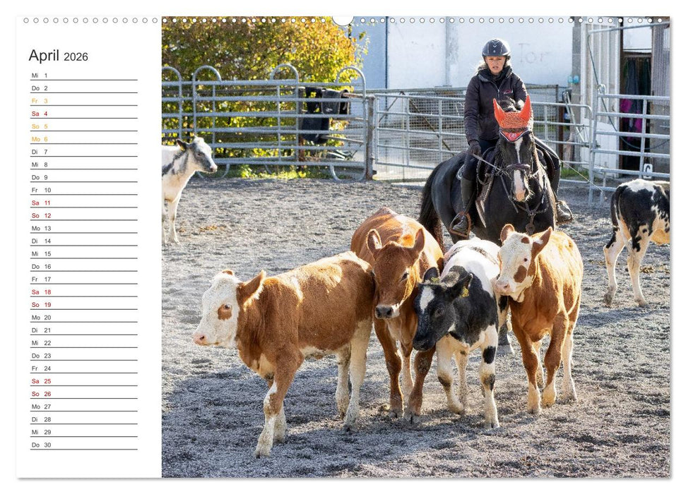 Working Equitation (CALVENDO Wandkalender 2026)