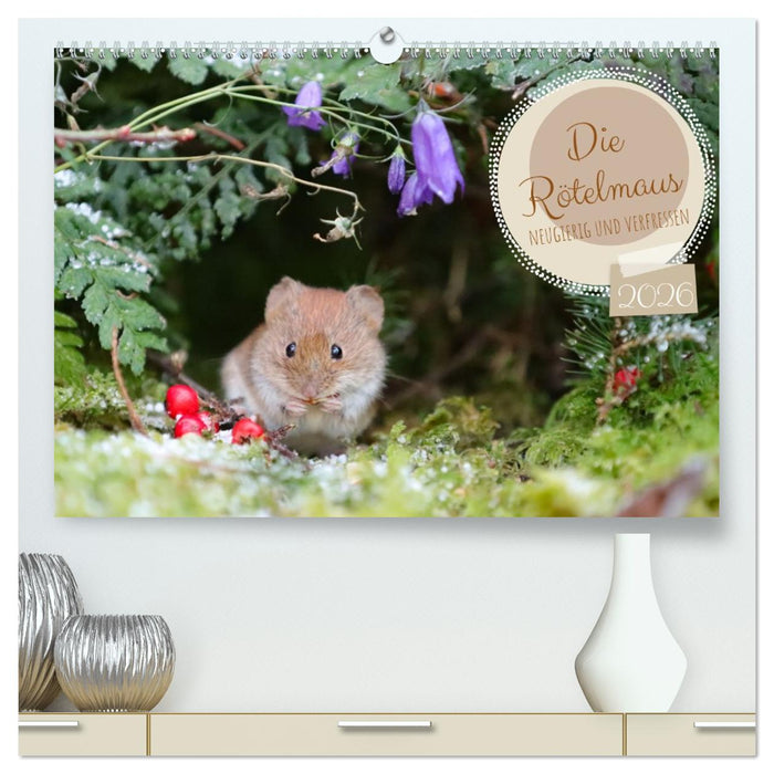 Die Rötelmaus - neugierig und verfressen (CALVENDO Premium Wandkalender 2026)