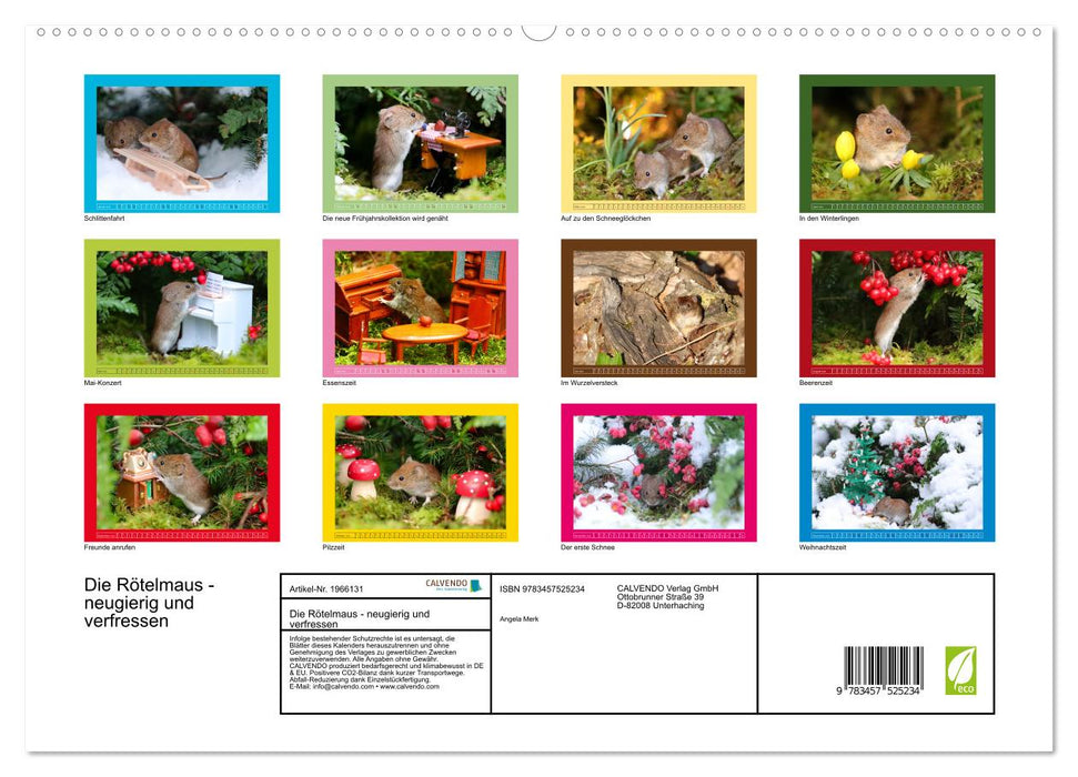 Die Rötelmaus - neugierig und verfressen (CALVENDO Premium Wandkalender 2026)