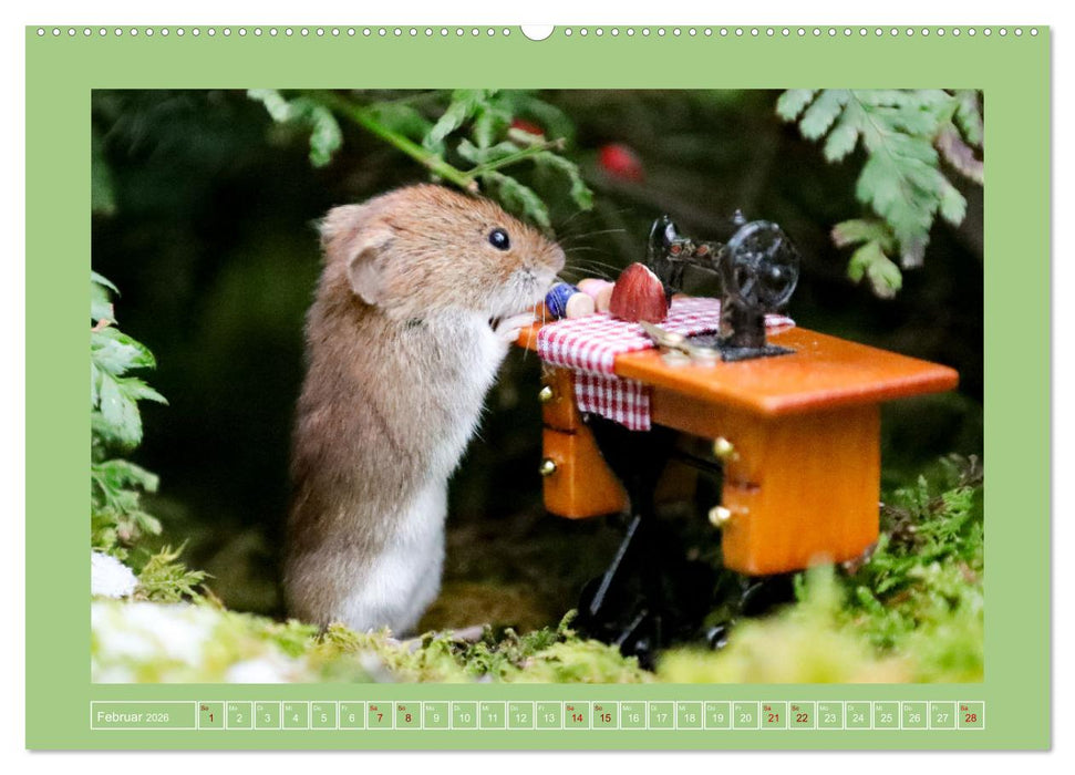 Die Rötelmaus - neugierig und verfressen (CALVENDO Premium Wandkalender 2026)
