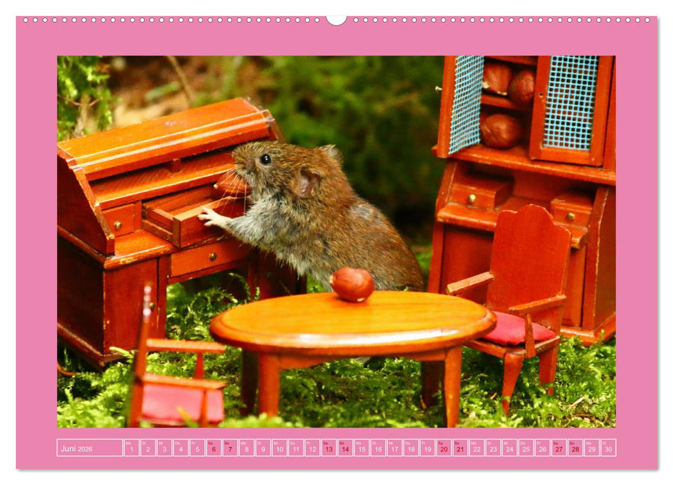 Die Rötelmaus - neugierig und verfressen (CALVENDO Premium Wandkalender 2026)