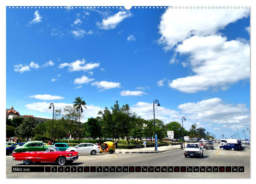 Best of Thunderbird - Ein Star unter Havannas Oldtimern (CALVENDO Premium Wandkalender 2026)