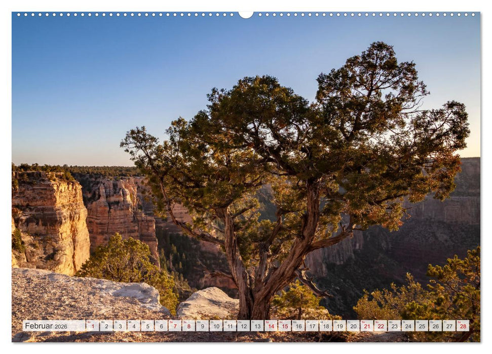 GRAND CANYON Mächtige Schlucht (CALVENDO Premium Wandkalender 2026)