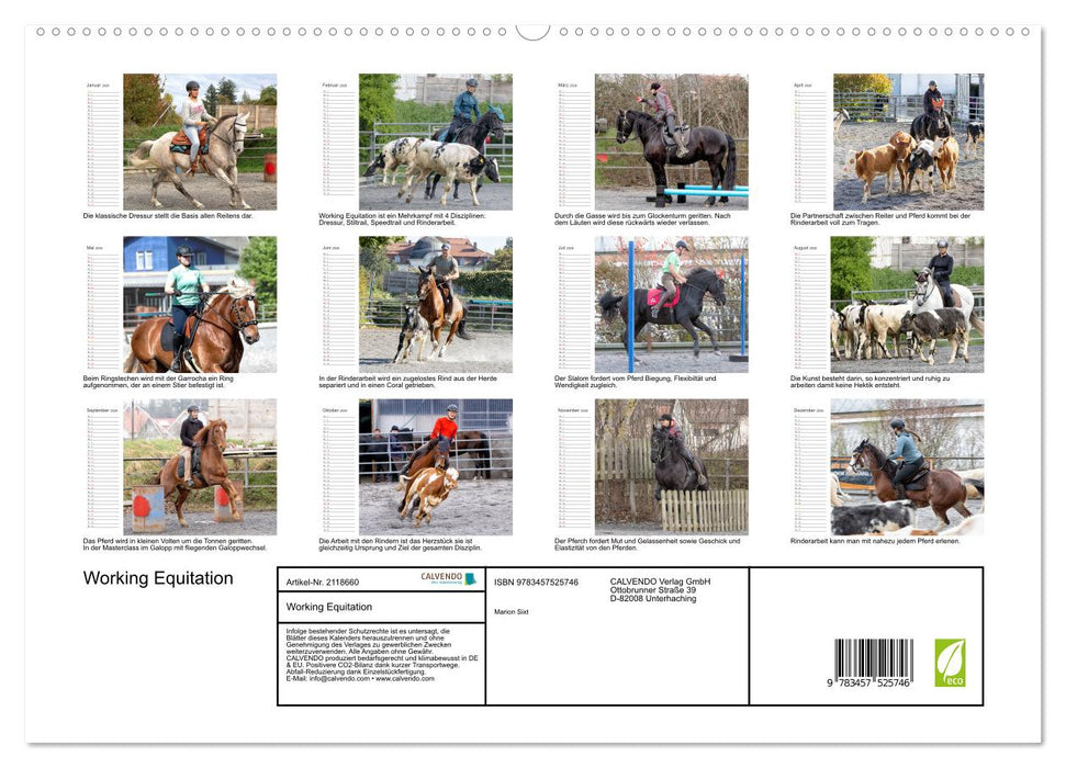Working Equitation (CALVENDO Premium Wandkalender 2026)