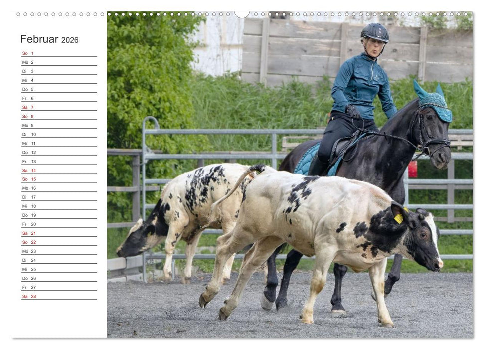 Working Equitation (CALVENDO Premium Wandkalender 2026)