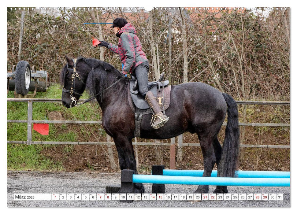 Working Equitation (CALVENDO Premium Wandkalender 2026)