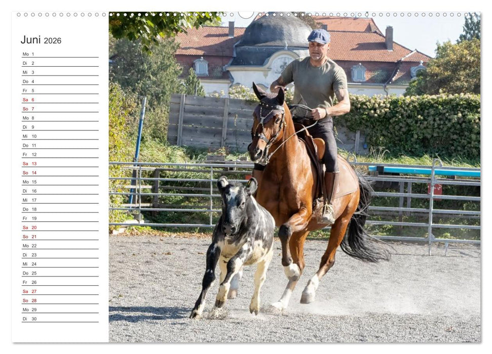 Working Equitation (CALVENDO Premium Wandkalender 2026)